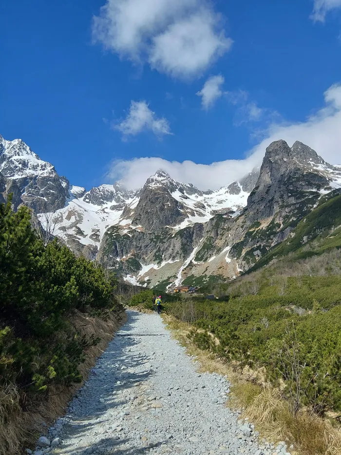 Wyprawy
